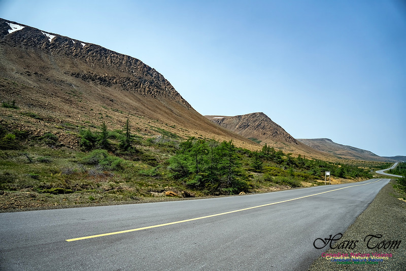 Table Mountains 100