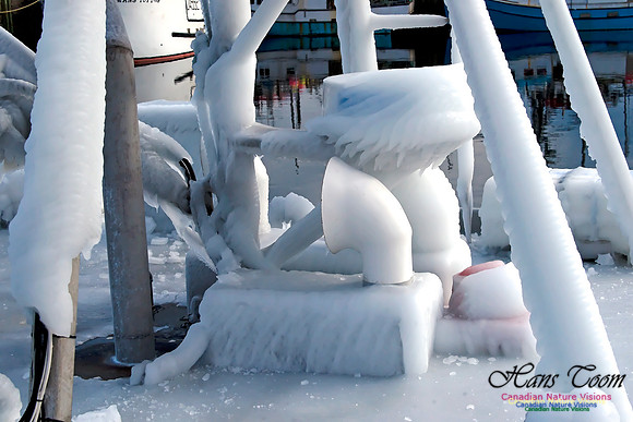 Icy Voyage