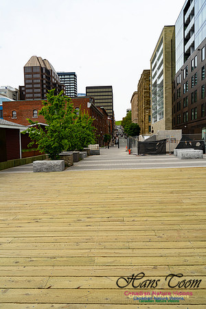 Halifax Waterfront Stroll 158