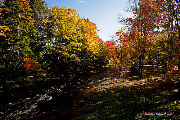 Smileys Provincial Park Fall Colours
