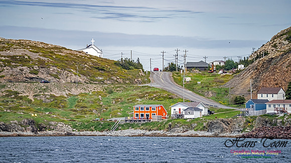 Twillingate 123