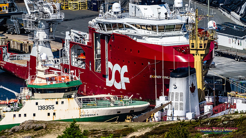 St. John's, Newfoundland 120