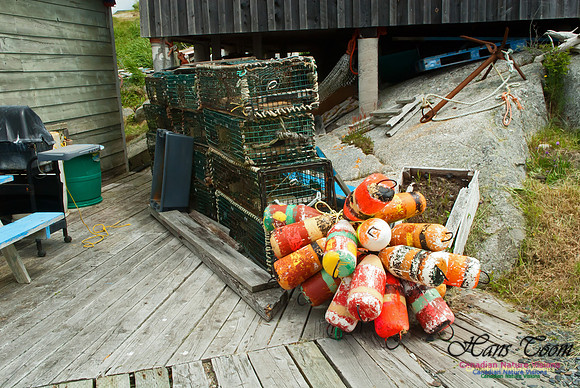 Peggys Cove