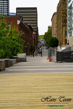 Halifax Waterfront Stroll 165