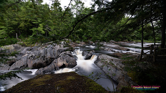 Living Water 110