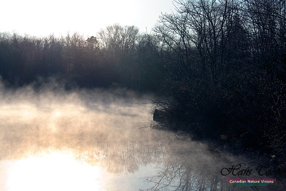 Jerry Lawrence Provincial Park Morning Mist