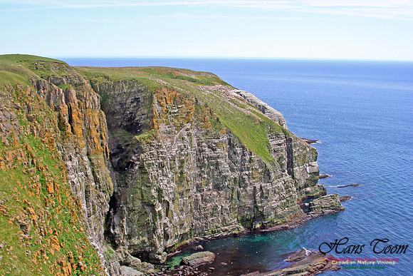 Cape St. Marys
