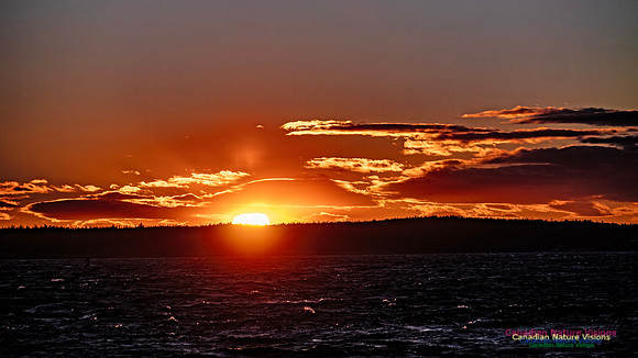 Peggy's Cove Sunset 907