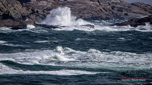 Coastal Tour 128