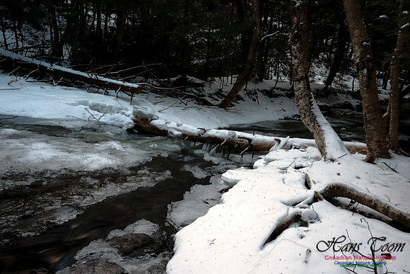 Butchers Creek