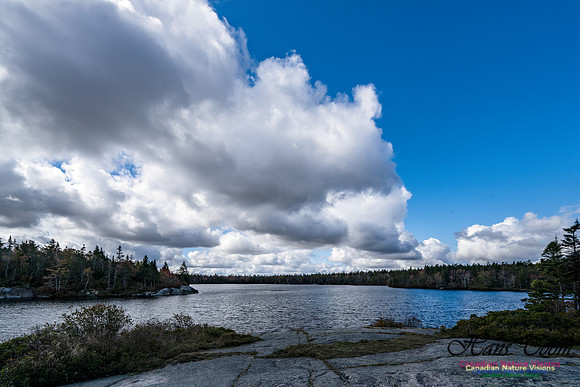 Sambro Loop 117