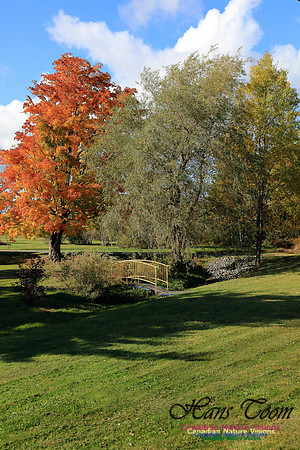 FallColours2016-1035