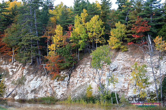 FallColours2016-1010
