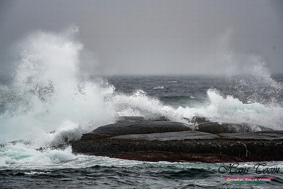 Nova Scotia Winter Scenes 115