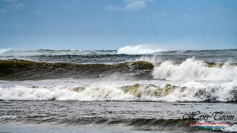 Hurricane Erin 104