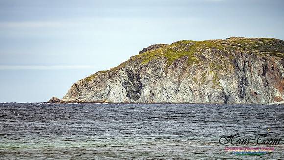 Twillingate 125