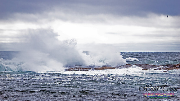 November Gale 1 108
