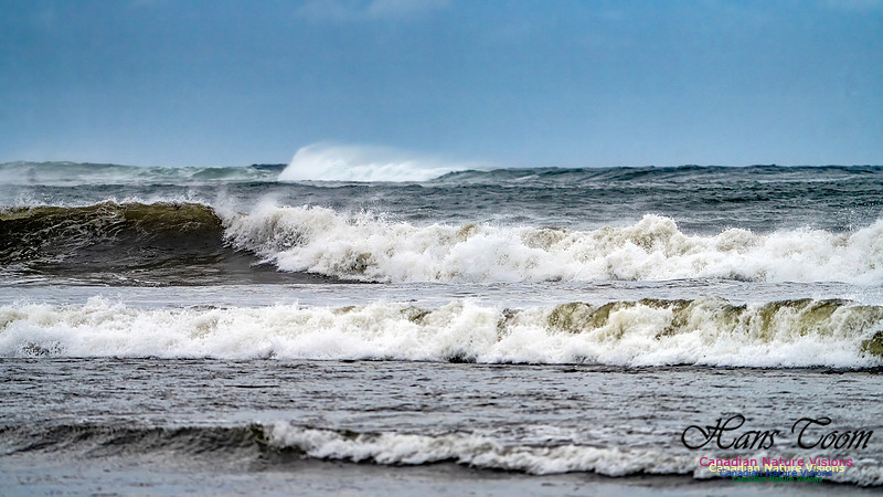 Hurricane Erin 103