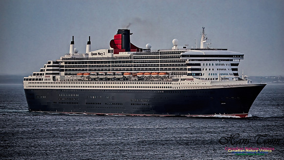 Queen Mary 2 113