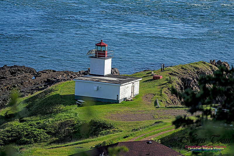 Cape d'Or Light 101