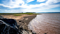 Evangeline Beach Shorebirds Part Three