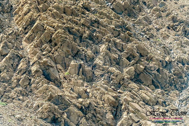 Table Mountains 129 copy