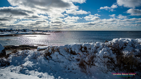 Peggys Cove Post Snow Storm 125