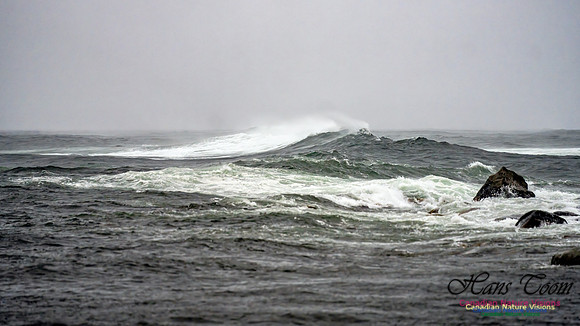 Nova Scotia Gale 2024-09-07 200