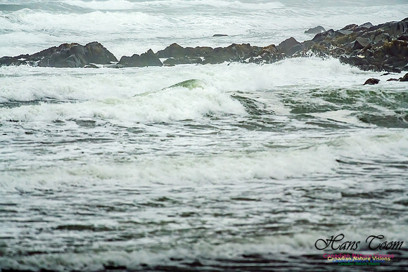 Martinique Beach Gale 101