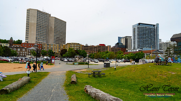 Halifax Waterfront Stroll 116