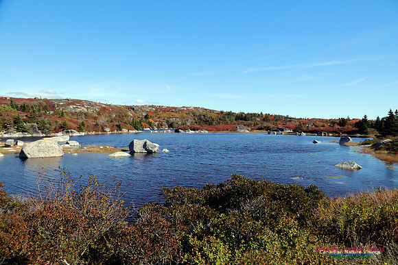 CoastalBarrensFall2016-1008