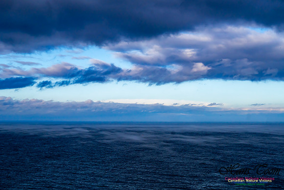 Aura of Ocean 104