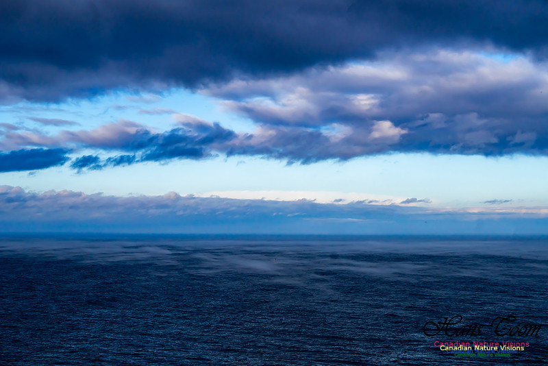 Aura of Ocean 104