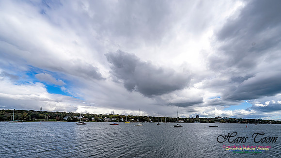 Sambro Loop 103