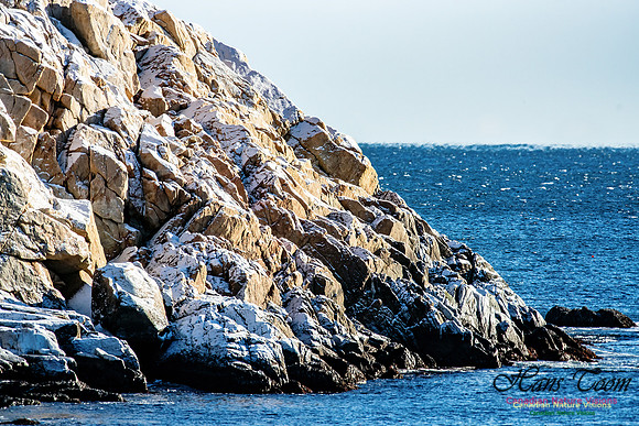 Nova Scotia Winter Scenes 102
