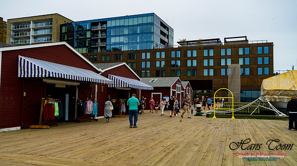 Halifax Waterfront Stroll 157