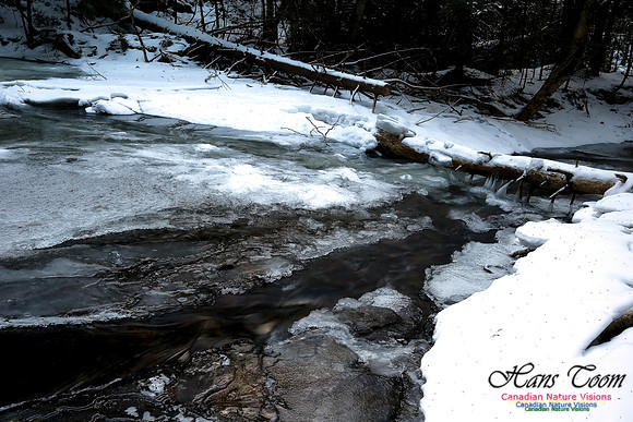 Butchers Creek