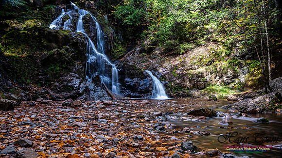 Wentworth Falls Trip 109