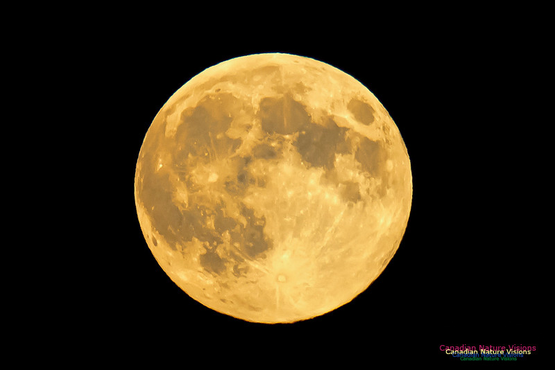 Supermoon_ Sept 8_2014-1