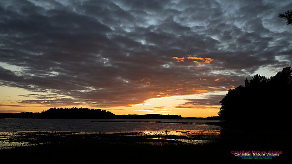 Kejimkujik Lake Sunset 101