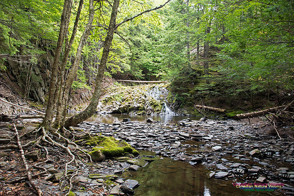 Butchers Falls