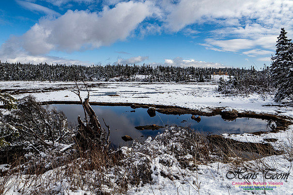 April Snow in Nova Scotia 209
