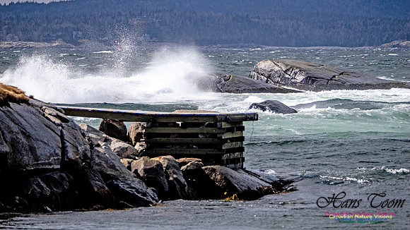 Coastal Tour 104