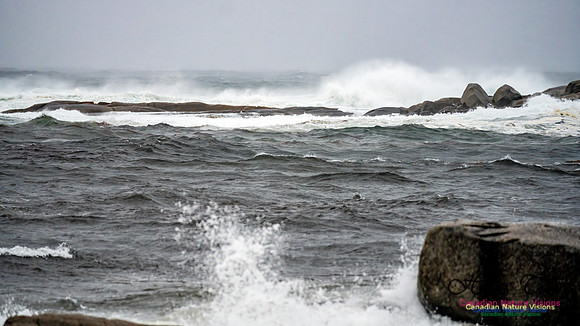 Nova Scotia Gale 2024-09-07 167