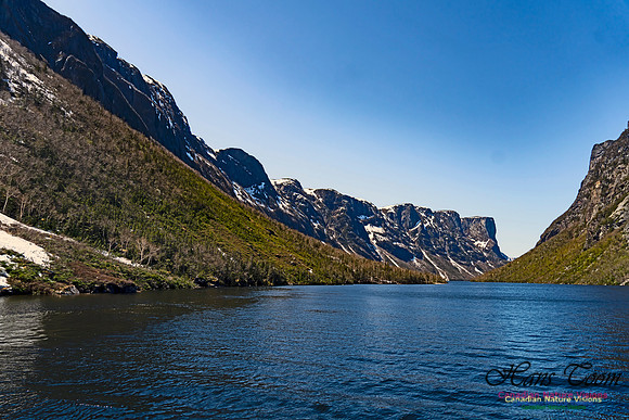 Western Brook Pond 203