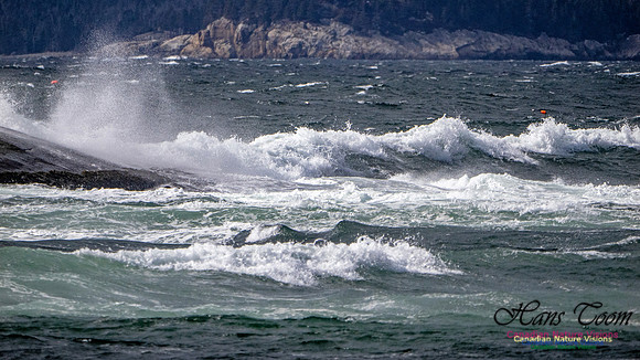 Coastal Tour 107