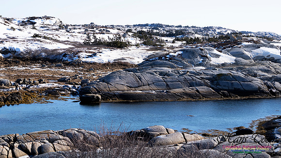 Coastal Barrens 101