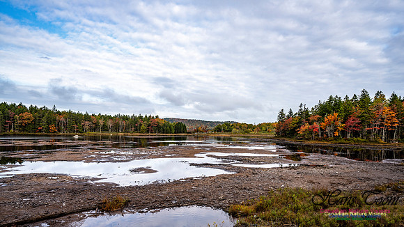 More Early Fall Photos in Nova Scotia 227