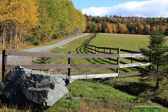 FallColours2016-1037