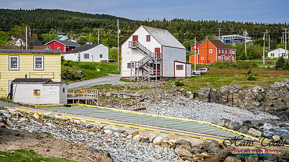 Twillingate 114